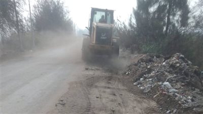 رفع 43 طن قمامة خلال حملة مكبرة بأجا في الدقهلية (صور)