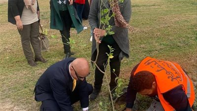 أسبوع بيئي بجامعة قناة السويس، زراعة أشجار مثمرة بمشاركة الطلاب وهيئة التدريس (صور)