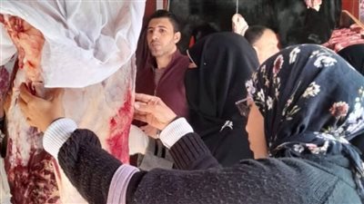 ضبط 375 كيلو لحوم ودجاج فاسد بالدقهلية