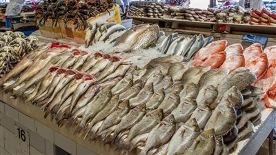 أسعار السمك اليوم بسوق العبور، البلطي يواصل ارتفاعه وانخفاض المكرونة والجمبري