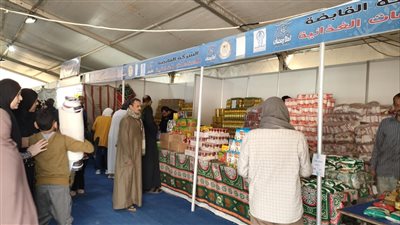 محافظ المنوفية يفتتح معرض 