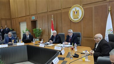 الأعلى للجامعات: إنشاء فرعين لجامعة القاهرة بقطر والسعودية 