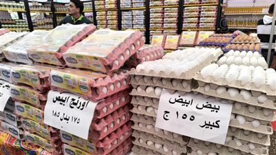 تعرف على أسعار السلع والمنتجات داخل 9 معارض أهلًا رمضان بالقليوبية (صور) 