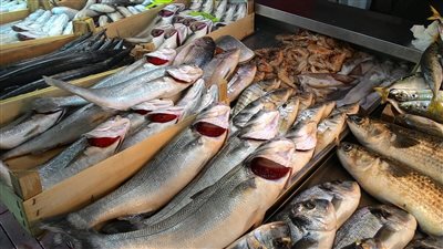 أسعار السمك اليوم، الدنيس يرتفع 15 جنيها في سوق العبور