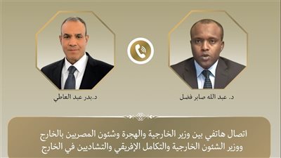 وزير الخارجية يبحث مع نظيره التشادي سبل التعاون الاقتصادي 