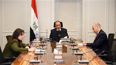 وزير الخارجية يشارك في اللقاء الافتراضى مع الجالية المصرية بفرنسا (صور)