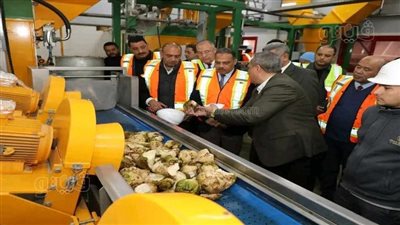 10 صورة ترصد بدء موسم توريد محصول البنجر بالشرقية