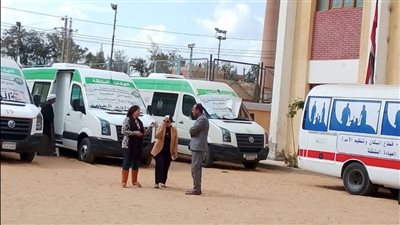 صحة الإسماعيلية تنظم قافلة طبية مجانية بقرية عرب أبو قاسم (صور)