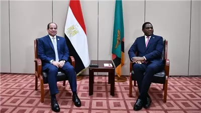  توقيع 5 مذكرات تفاهم بين مصر وزامبيا.. الإحصاء: 96 مليون دولار حجم التبادل التجاري خلال عام 2024.. ومنتجات الصيدلة والمحضرات الغذائية والسكر على رأس السلع المصدرة 