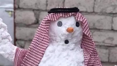 الثلوج تغمر الصحراء وتعطل المدارس في العراق