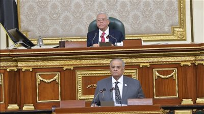 النواب يوافق على مجموع مواد الإجراءات الجنائية ويؤجل الموافقة النهائية