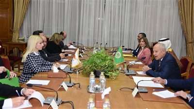 أبو الغيط يستقبل رئيسة البرلمان القبرصي ويشيد بمواقف بلادها من القضية الفلسطينية 