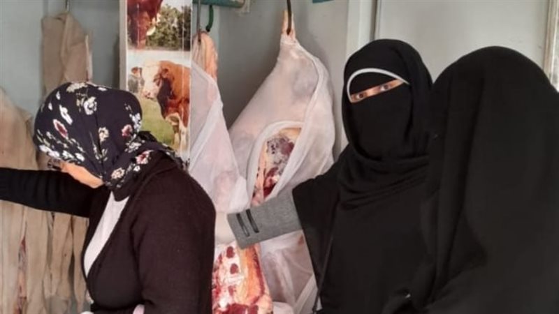 حملات بيطرية، فيتو