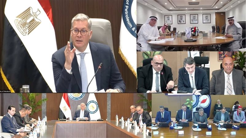 بدوي خلال اللقاء،فيتو