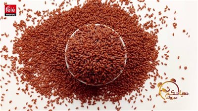 حب الرشاد، لتقوية المناعة وتنظيم سكر الدم وصحة القلب