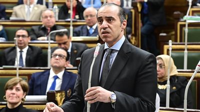 وزير الشئون النيابية: الحكومة بصدد إعداد قانون لتنظيم عمل العمالة المنزلية