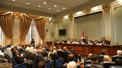 مجلس النواب: نتمسك بدعم استقرار ليبيا