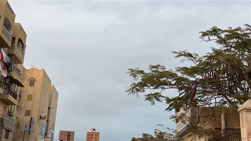 حالة الطقس، فيتو