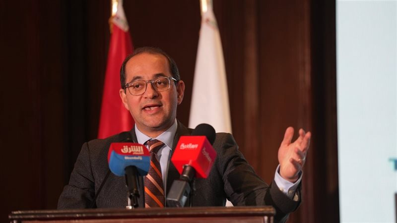 أحمد كجوك وزير المالية