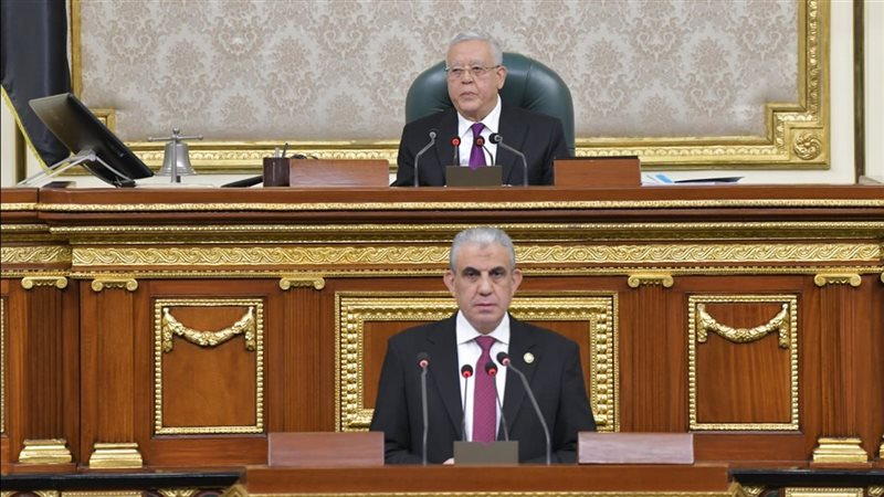مجلس النواب، فيتو