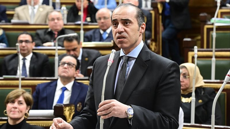 المستشار محمود فوزي