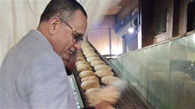 ضبط 4 أطنان دواجن ولحوم وأعلاف مخالفة للاشتراطات بالدقهلية