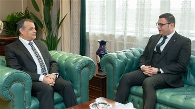 وزير الإنتاج الحربي: 