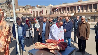 انطلاق قافلة سيارات بيع اللحوم بأسعار مخفضة في أجا بالدقهلية 