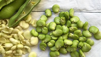 فوائد الفول الأخضر، لصحة قلبك وعظامك ومفاصلك واحذر الإفراط