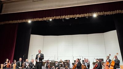 السفارة الدنماركية تعزز التبادل الثقافي مع مصر في 