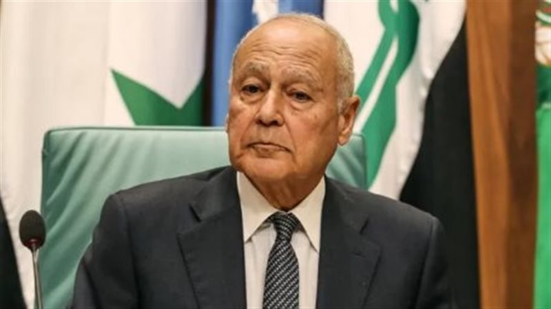 أبو الغيط، فيتو