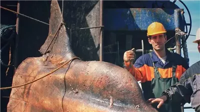 صياد روسي يثير الجدل بعد اصطياد مخلوق بحري غريب