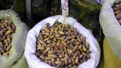 «البلح في رمضان.. سُنّة دينية وفوائد صحية».. انخفاض الأسعار 5 جنيهات.. والسكري والسكوتي والشامي والصعيدي «أشهر الأنواع» ( صور)