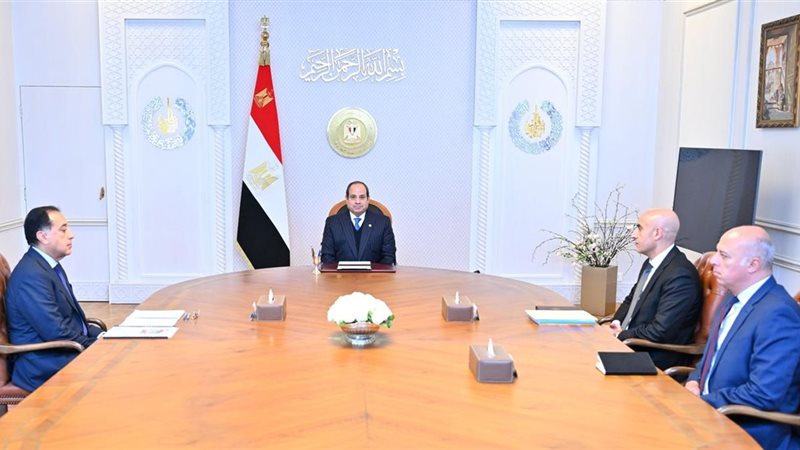 الرئيس السيسي ووزير