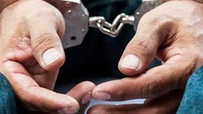 القبض على سائق سيارة ملاكي دهس شقيقين بترسا