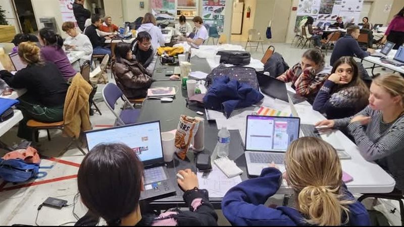 جامعة عين شمس، فيتو