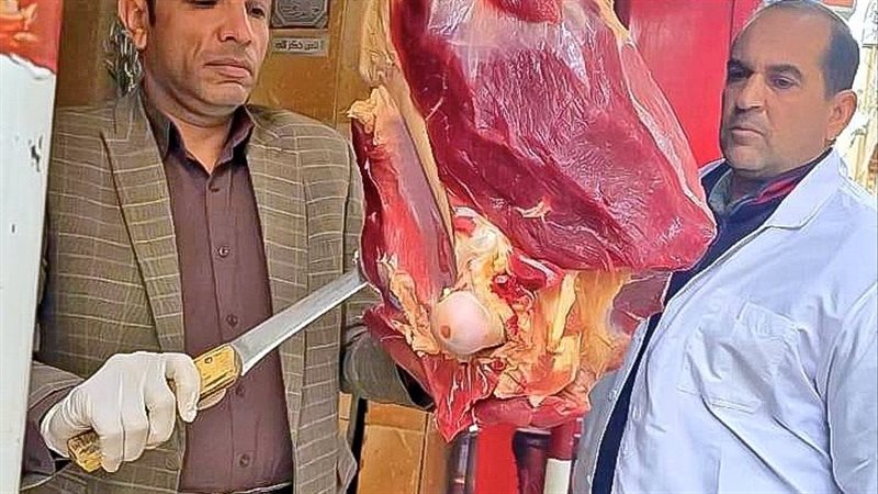 حملات تموينية ,فيتو