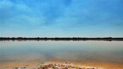 حالة الطقس اليوم السبت 1 -3- 2025 بوادي النطرون