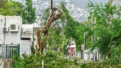 مصرع 4 أشخاص بسبب إعصار في جزيرة ريونيون بالمحيط الهادئ