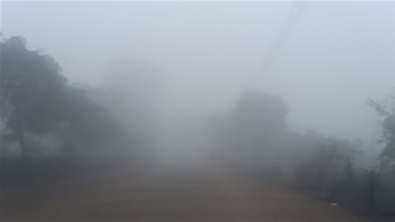 حالة الطقس غدا، فيتو