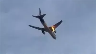 طائر يشعل النيران في محرك طائرة شحن (فيديو)