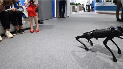 روبوت لطيف يخطف الأضواء في كرنفالات ساو باولو