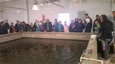 جامعة القناة تعرف طلاب المدارس بالذكاء الاصطناعي والاستزراع السمكي (صور) 