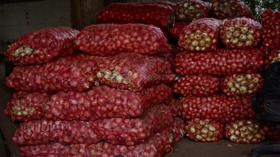 خضار المحاشى نار وورق العنب بـ 100 جنيه، أسعار الخضار بسوق الساحل 