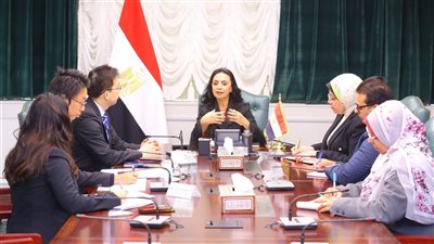 وزيرة التضامن تلتقي الممثل الرئيسي الجديد لهيئة التعاون اليابانية في مصر «جايكا»