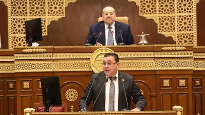 نائب بالشيوخ يطالب بتحسين منظومة التصدير ودعم نفاذ المنتجات للأسواق العالمية