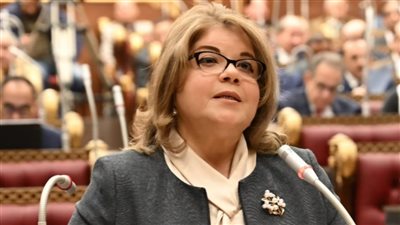 وكيلة الشيوخ تدعو لتبسيط الإجراءات الجمركية لتسهيل تصدير المنتجات المصرية 