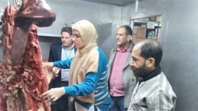 تحرير 361 محضرًا تموينيًّا في المنيا