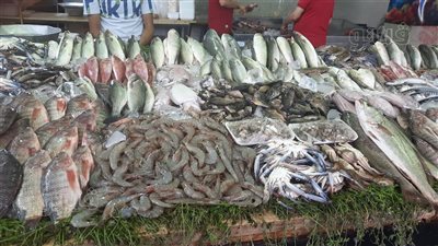  سعر السمك اليوم، الكابوريا تبدأ من 40 جنيهًا في سوق العبور