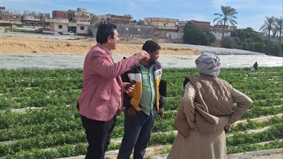 استرداد 3 أفدنة من أملاك الدولة بأبوصوير في الإسماعيلية 